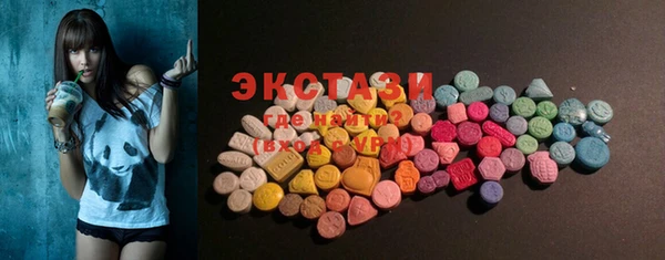 крисы Богородицк