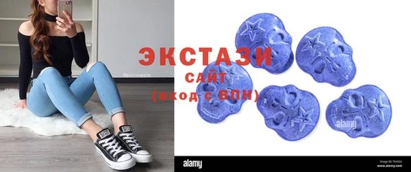 крисы Богородицк