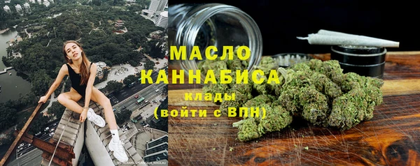 крисы Богородицк