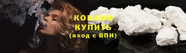 крисы Богородицк