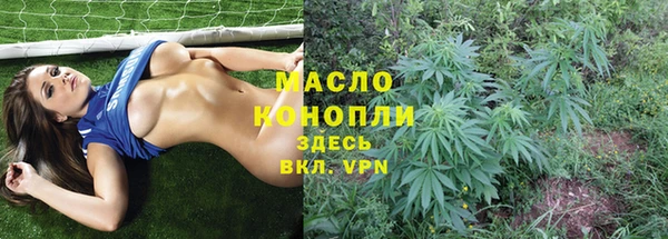 гашик Богородск