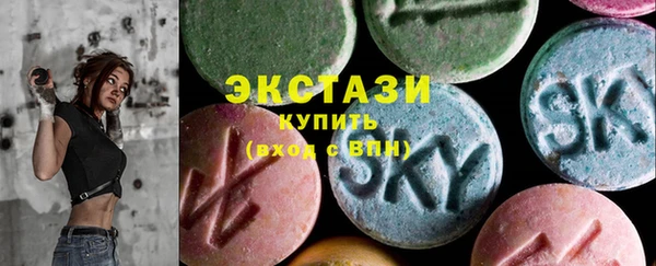 крисы Богородицк