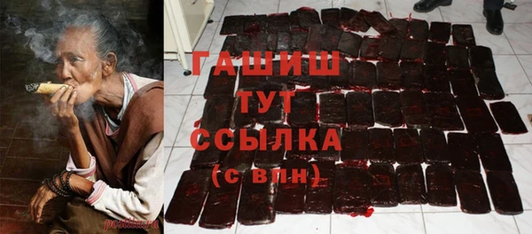 крисы Богородицк