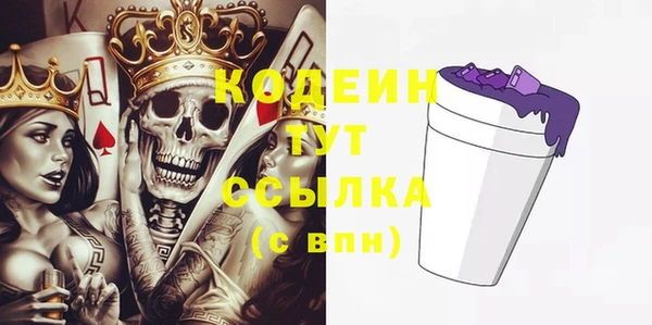 крисы Богородицк